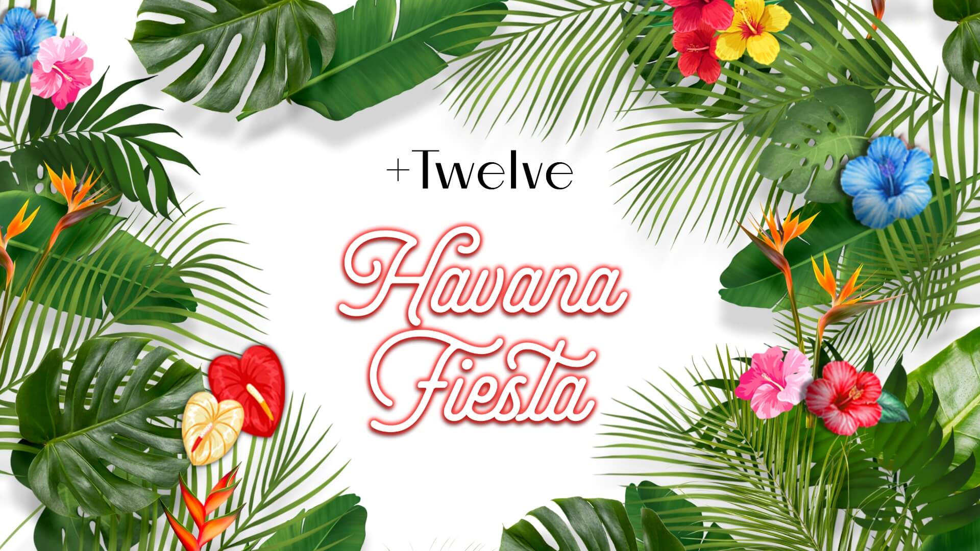Havana Fiesta at +Twelve